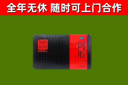 盘州回收阿胶